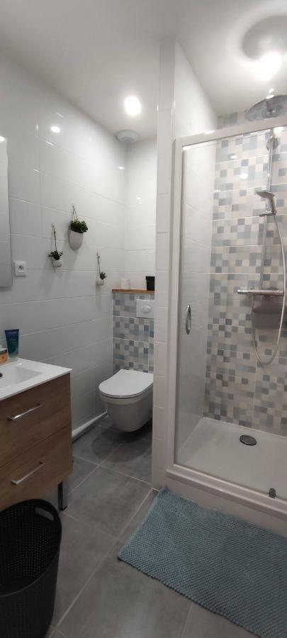 Hyper Centre-Le Regratterie-Wifi Apartment ปัวติเยร์ ภายนอก รูปภาพ