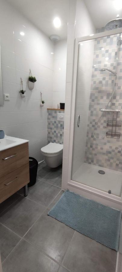 Hyper Centre-Le Regratterie-Wifi Apartment ปัวติเยร์ ภายนอก รูปภาพ